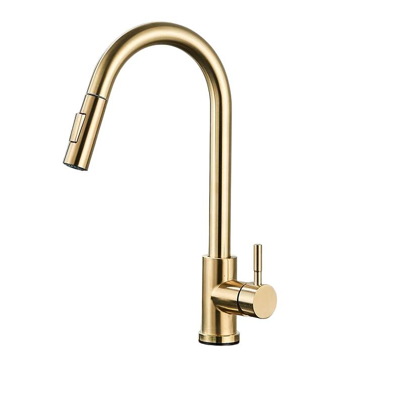 Single-Handle Pull-Out Kitchen Faucet – Versatile Design for Modern Kitchens